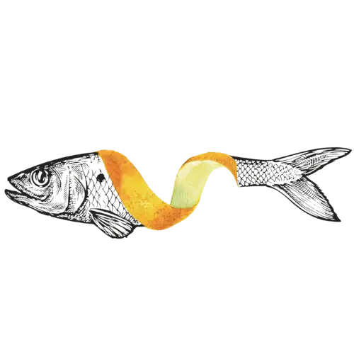 Ilustración pescado con piel de naranja