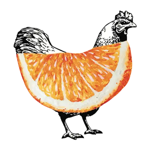 Ilustración gallina con naranja