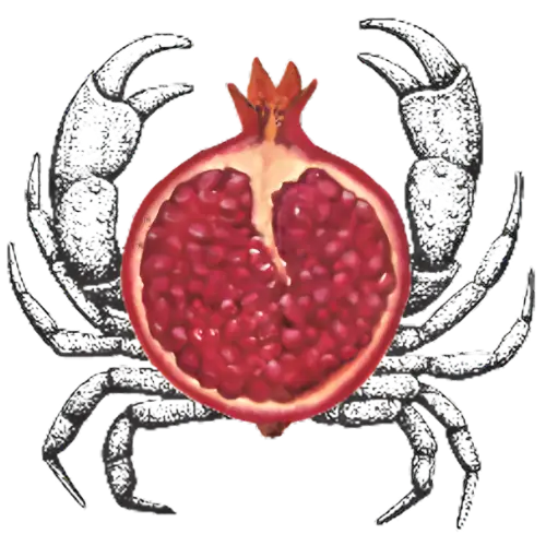 Ilustración de cangrejo con granada